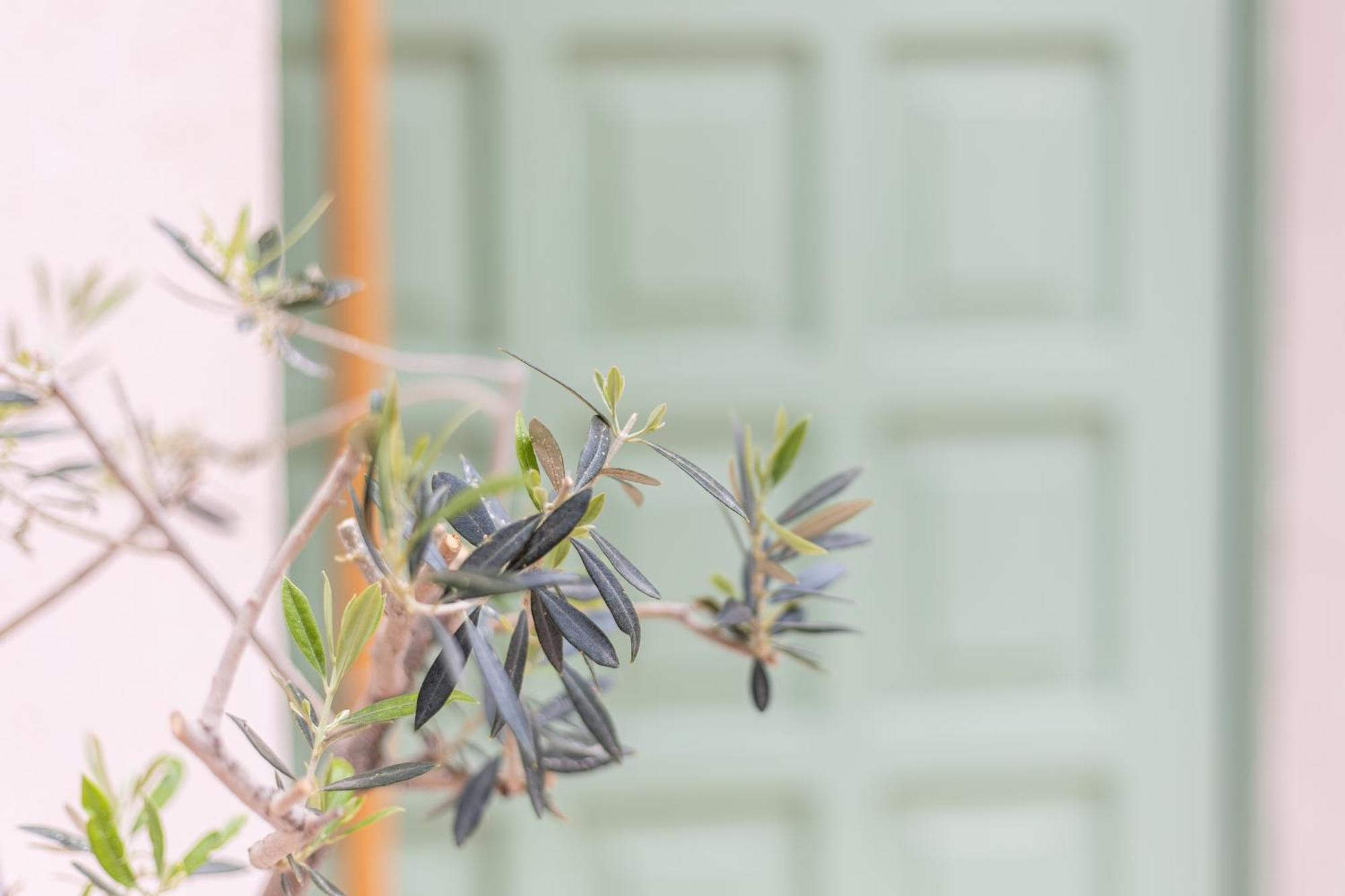 Erofili Traditional House Chania  Екстер'єр фото